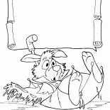 يطفو الأرنب الأبيض