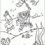 أصدقاء قبض قنديل البحر