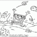 قناديل البحر على مطاردة