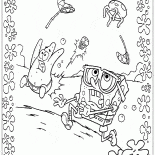 هجوم قناديل البحر