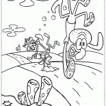 التي تقع قبالة الدراجة