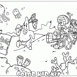 الأرض قنديل البحر