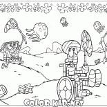 الجميع المصيد قنديل البحر