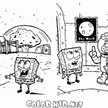 سبونجبوب والسنجاب