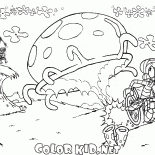 قناديل البحر