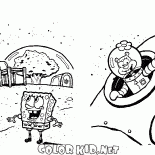 سبونج بوب والغريب