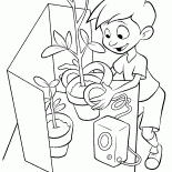 لويس القضاة الزهور