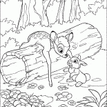 العقبة الأولى