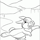 الأرنب على الجليد