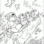 الأرانب البرية وقرع طبول