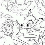 الغزلان والأرنب