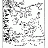 الأوبسوم وبامبي