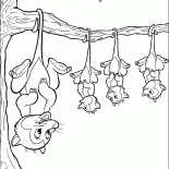 الأوبسوم ينتظر