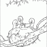 عش مع الدجاج