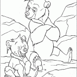 كودا وكيناي