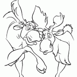 الموظ يمرحون