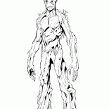 شجرة المعيشة