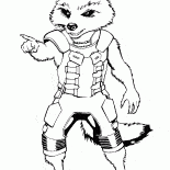 الراكون الإبداعي