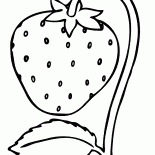 الفراولة