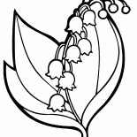 زنبق الوادي