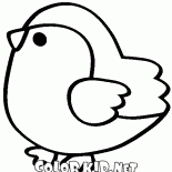 الطيور القرقف