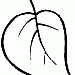 ورقة من شجرة