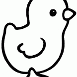 الربيع الدجاج