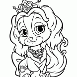 الجرو الصغير