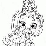 جرو البابونج