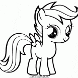 سكوتالو الصغير