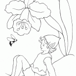 عفريت ونحلة طنانة