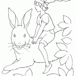عفريت يركب أرنب