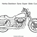 الدراجة النارية دائما شعبية