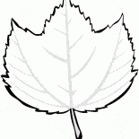 القيقب مقلم