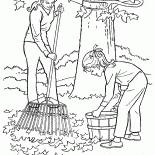 تنظيف الأوراق المتساقطة