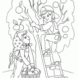 حصاد الربيع