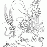 الحيوانات تفعل الأسهم