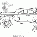 زيس - 101