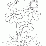 فراشة على زهرة