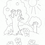 الأشجار في فصل الصيف