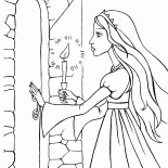 أسرار القلعة