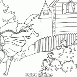 على الذئب الرمادي