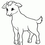 الماعز الصغير