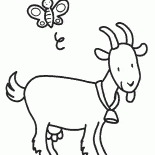 الماعز مع جرس حول عنقه