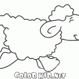 الأغنام على هذه الخطوة