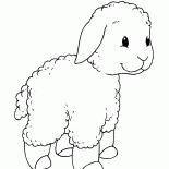 خروف صغير على المشي