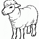 رمز 2015