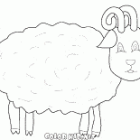 الأغنام المرج