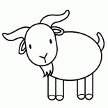 الماعز على المشي