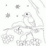 الدغناش عصفور مغرد